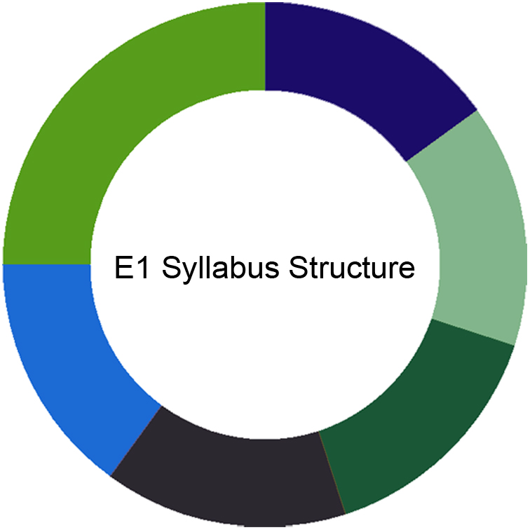 CIMA E1 Syllabus CIMA E1 Syllabus