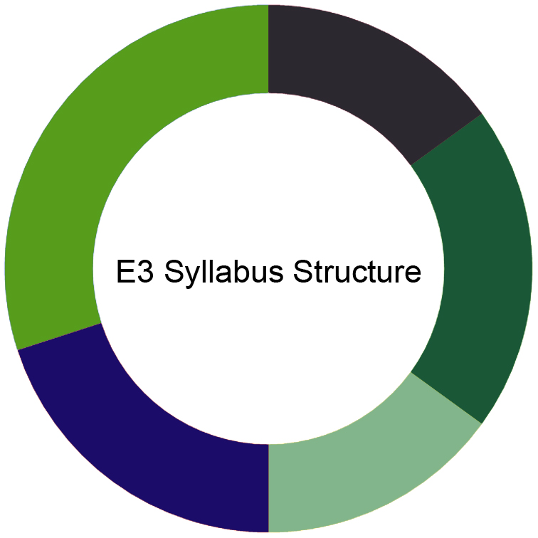 CIMA E3 Syllabus CIMA E3 Syllabus