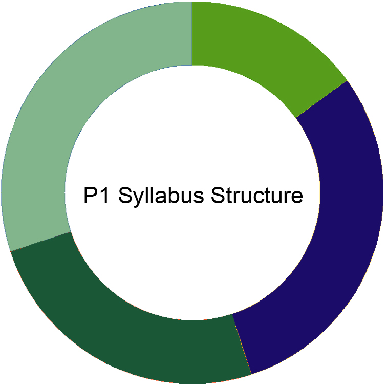 CIMA P1 Syllabus CIMA P1 Syllabus