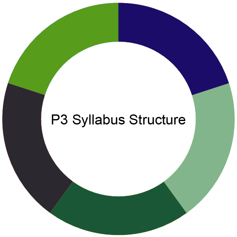 CIMA P3 Syllabus CIMA P3 Syllabus
