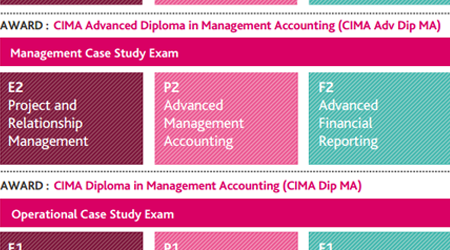 CIMA Management Case Study Syllabus
