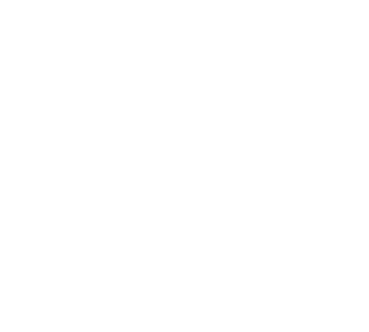 CMI partner