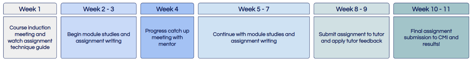 cmi level 3 assignment examples