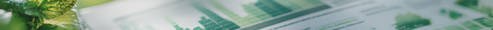 CPD Course: The principles of successful governance